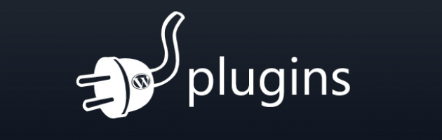 Plugin “Server IP & Memory Usage Display